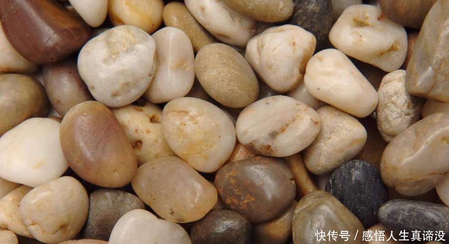 男子河边捡到透明石头,高兴拍照,专家鉴定后有