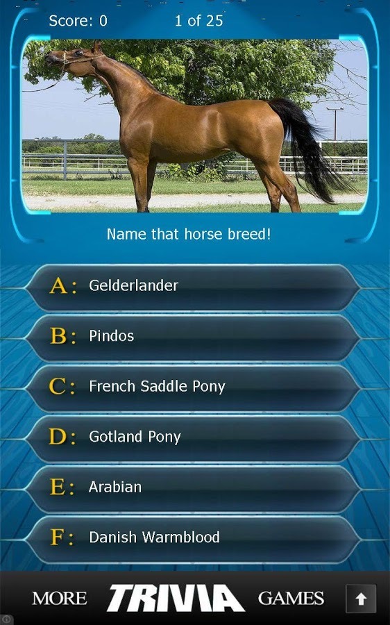 Name that Horse Breed Trivia截图1