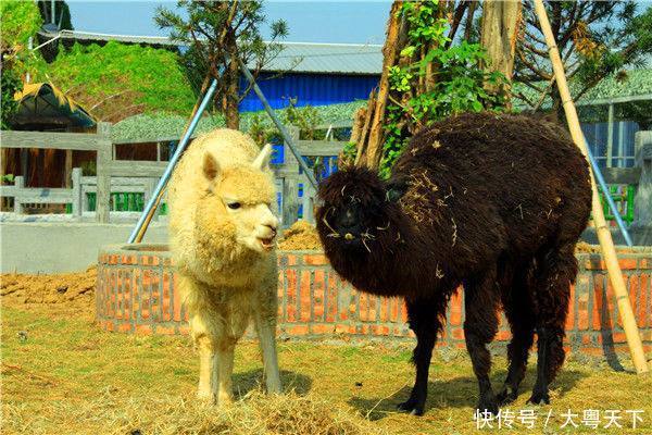 江门市科普教育基地花落长廊生态园,未来成为