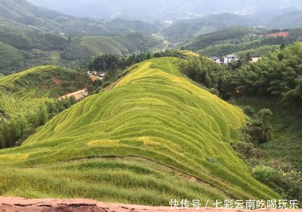 农民用这种新方式种地，效益不会比打工差