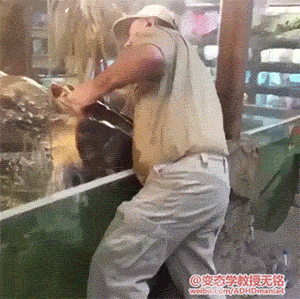 囧君讲笑话:主子,你的节操都被我丢光了 - 枫叶飘飘 - 欢迎诸位朋友