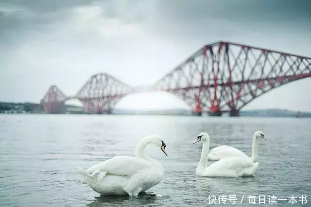 2018年最经典微小说:出轨