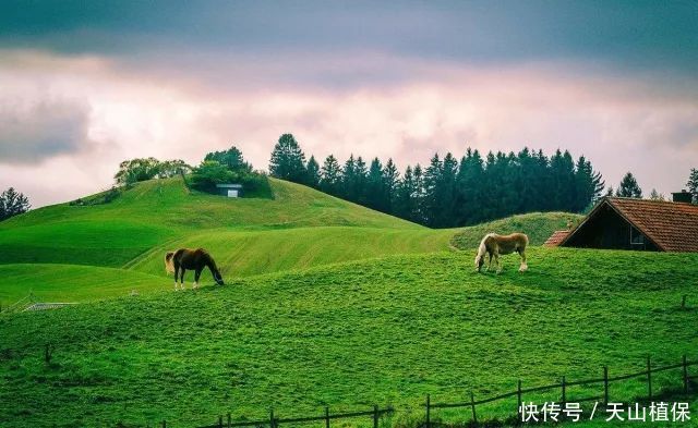 土地又改革了？有户口却没有土地，该怎么办？