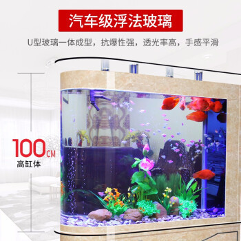 什么是一種常見的觀賞魚類(魚最常見的種類有什么) 噴點菠蘿魚