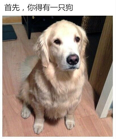 金毛狮曲谱_金毛狮(3)