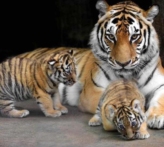 能跳多高? 如果稍微借助外力进行蹬踏, 摸高可