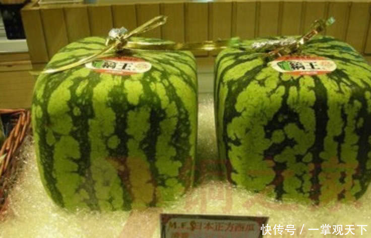 中国土豪跑到日本花2万块买下一个西瓜,切开后