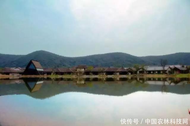 从无到有,年入6亿的特色小镇是如何炼成的?