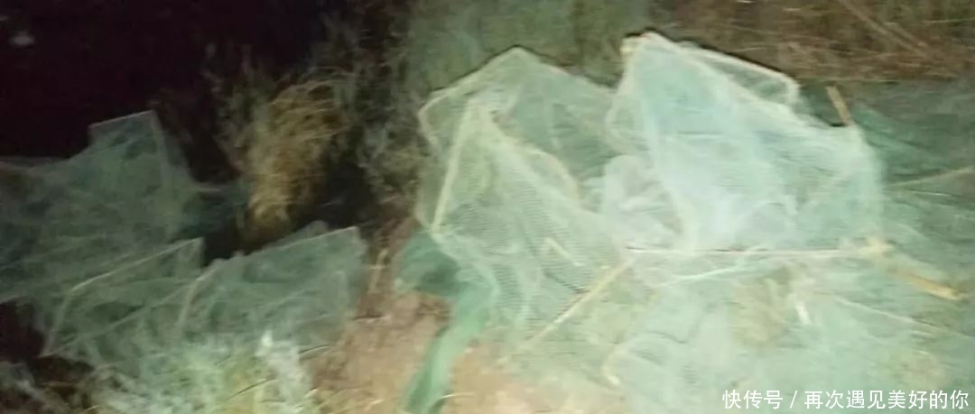 t013170e783cd90e51a.jpg?size=1080x459