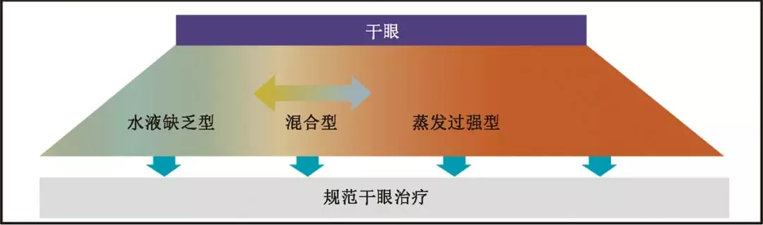 干眼的定义与分类傻傻分不清?专家为你解读共识