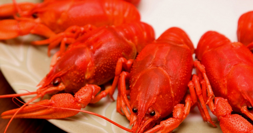 小龙虾虾线怎么挑出来 小龙虾虾线如何快速去