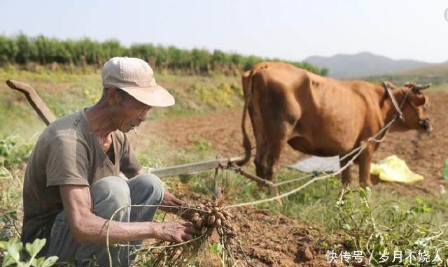 老人去世后子女能继承其土地吗这几种情况是不