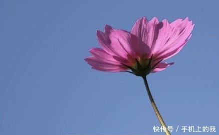 微信新版本为何不受欢迎? 网友: 仿佛我打开了