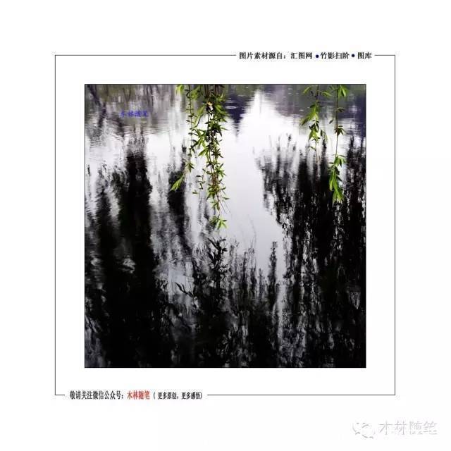 中华人民共和国行政监察法