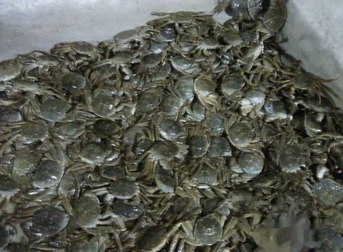 辽宁盘锦最佳旅行攻略