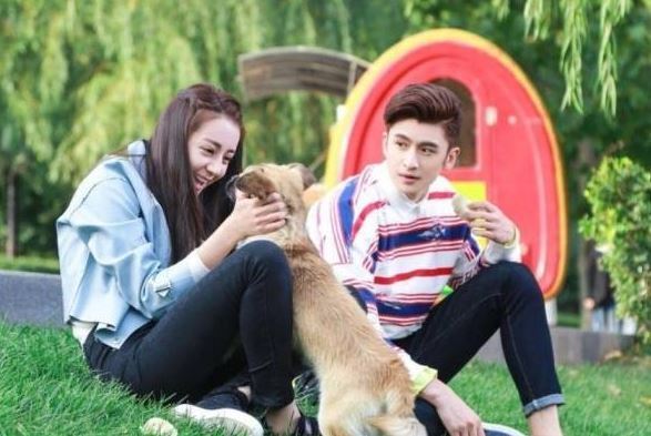 张云龙演过的5部影视剧,其中有两部都与迪丽热