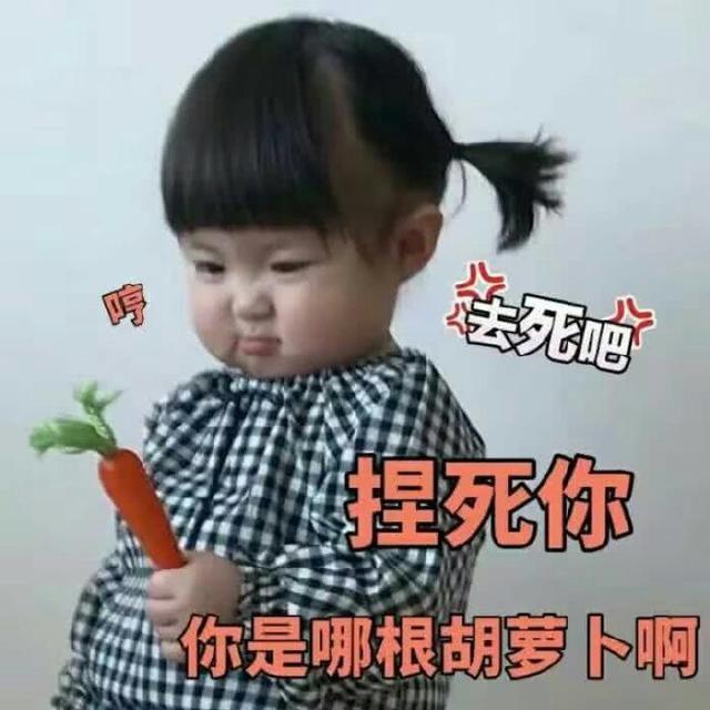 罗熙表情:捏死你,你是哪根胡萝卜啊猪表情包图片a表情图片