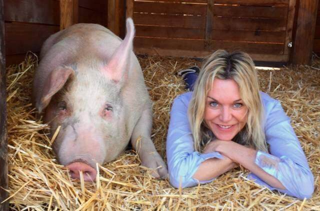 界天才,一幅画能卖10万,完全颠覆了人们对猪