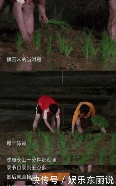 《向往的生活》中, 陈赫被剪辑成好吃懒做的嘉