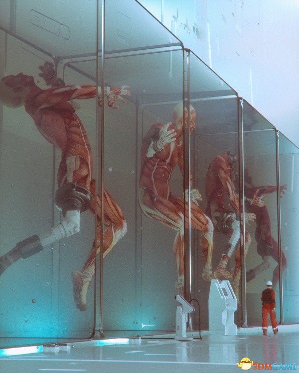 周四新一期福利内涵囧图 美女打架把衣服打没了