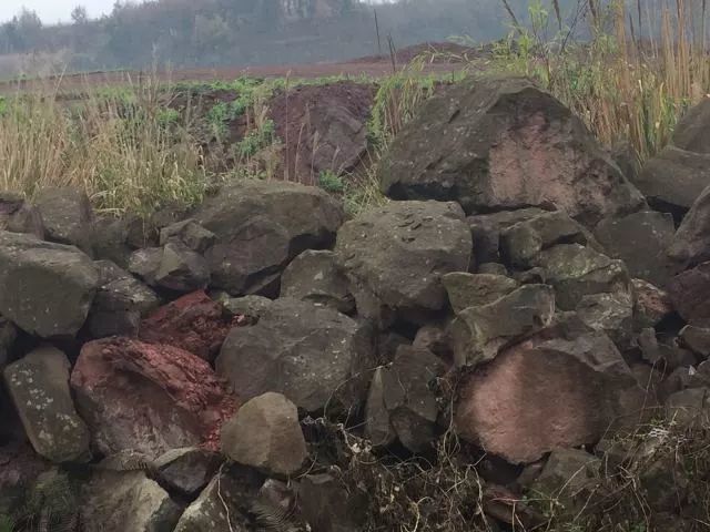 招商拿下空港地块 禹洲首入重庆落子北碚