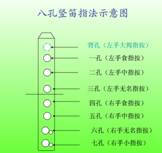 八孔竖笛谱虫儿飞_曲谱分享