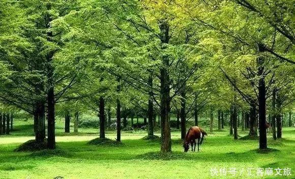 北纬30°上又一个神秘仙境，凭什么惊艳世界？