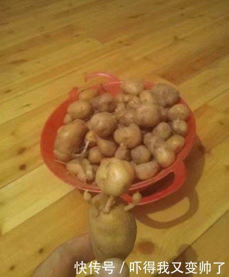 开心一刻笑话:为了早日拿到驾照,领导帮我找了