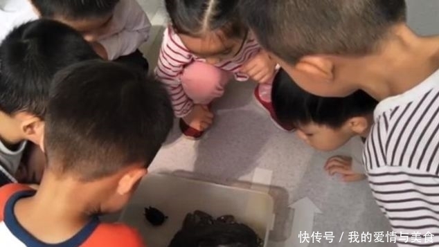 幼儿园场地要求