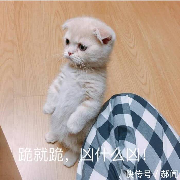 女生聊天回你哦嗯,聪明男生用这三招回应,她