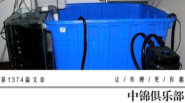 什么地方回收魚缸水泥（什么地方回收魚缸水泥呢）