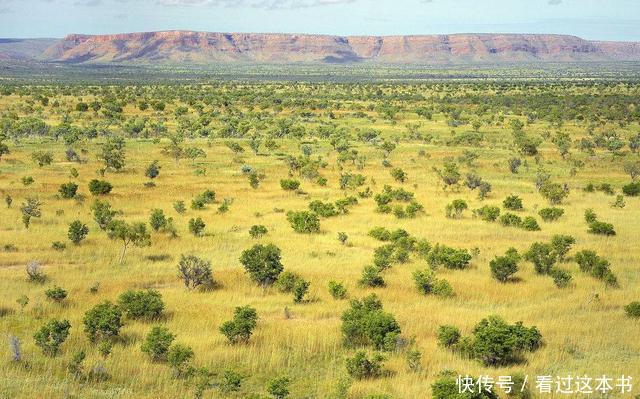 澳大利亚大陆的气候分布,为什么会呈现半环状