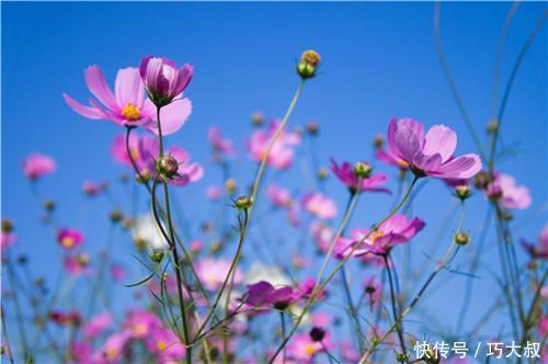 男人一旦有这4个迹象,女人该学会放下了!