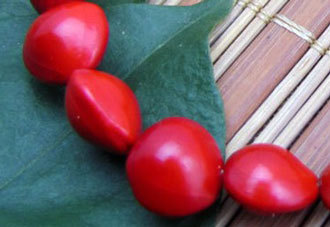 红豆生南国全诗中的红豆是什么样子