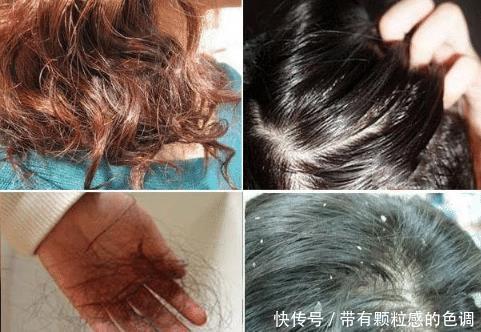 号称洗发界的“法拉利”,洗后柔顺不油腻,网友:香水钱省下了 老葡京赌场在线娱乐