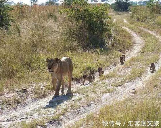 江一燕流连忘返的圣地，探险家的乐园，这个国度终于落地签啦！