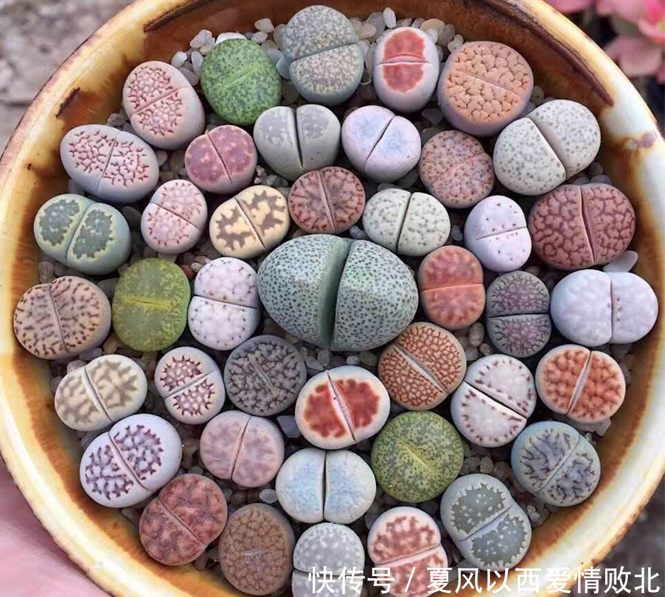 明年大概率发生厄尔尼诺现象,夏天会很热,你家