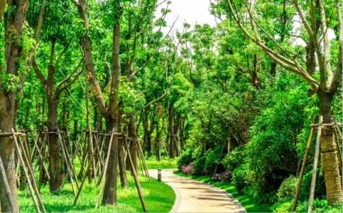 醉美人间四月天,还不迅速切换到赏花模式?