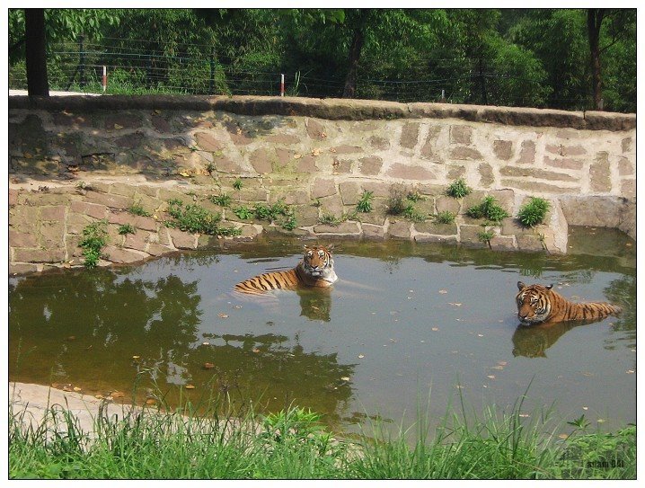 永川野生动物园