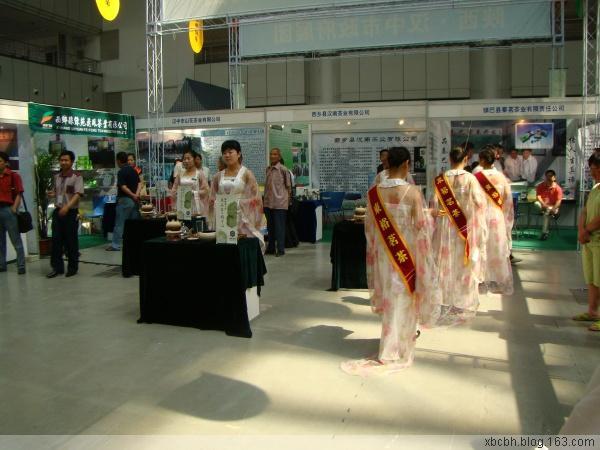 西安茶博会邀您免费品香茗(图2) 西安茶博会邀您免费品香茗(图2)