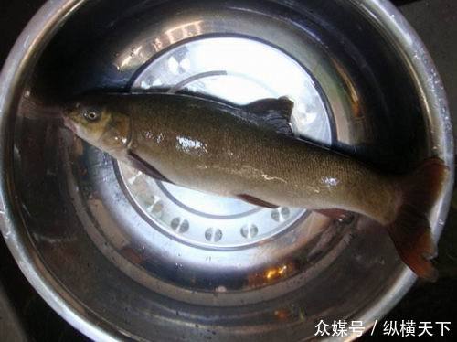 太原到四川稻城亚丁七天旅游;第一天雅安特色