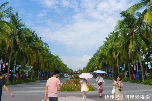 风光摄影: 漫步海南三亚椰梦长廊, 体验浓浓的热带风情