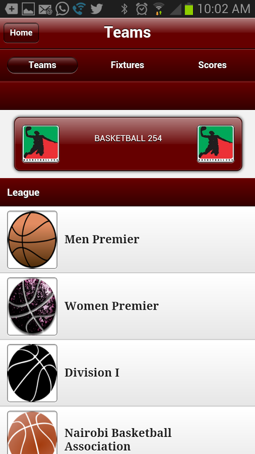 Basketball 254截图7