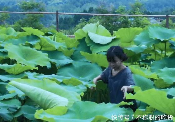 t014bf121f1afd5b10e.jpg?size=562x391