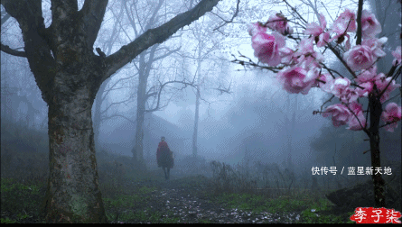 t014c52895c480239a7.gif?size=445x252