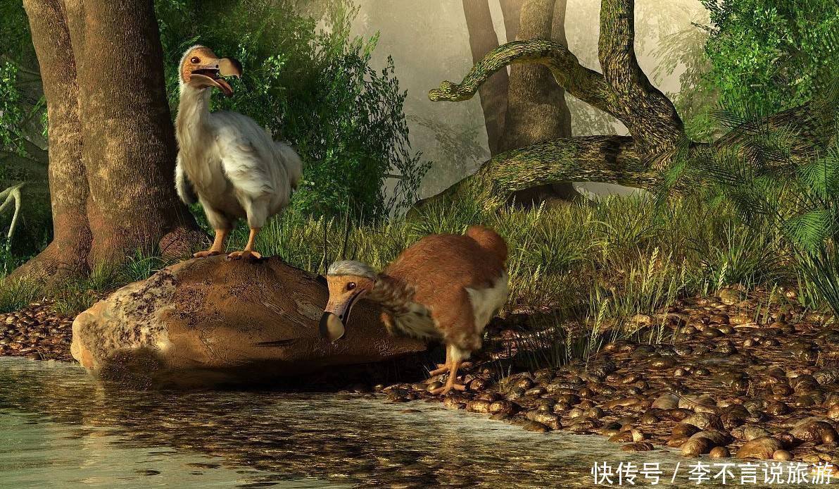 被世人称为印度洋的宝石:曾是渡渡鸟聚居地,而且钞票上印着华人