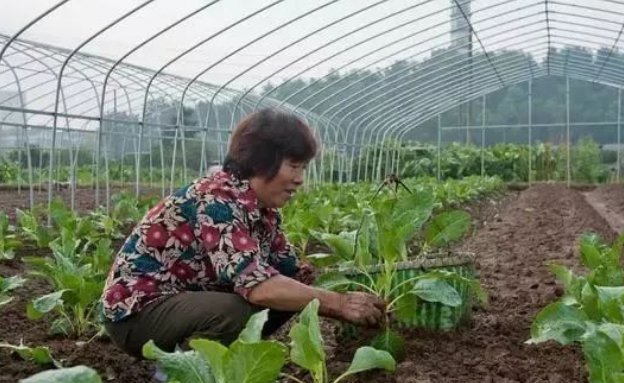 国际贸易是做什么的