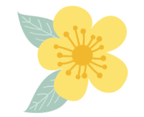 925丨雨天开车上路打双闪灯正确吗? m88明升网址