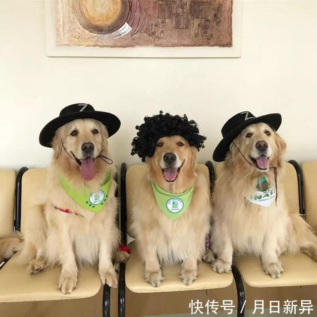 疗养院是干什么的