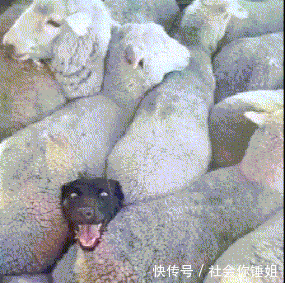 搞笑GIF:我应不应该过去提醒一下小姐姐呢 星际娱乐平台